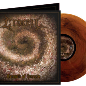 Swarm Of Insects (orange/black LP)